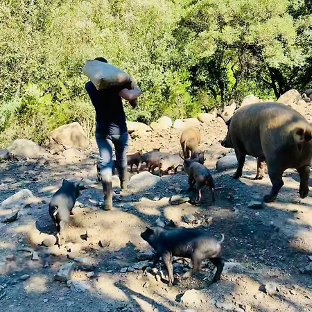 Appartamento Rez De Jardin - Casa San Cesaru *