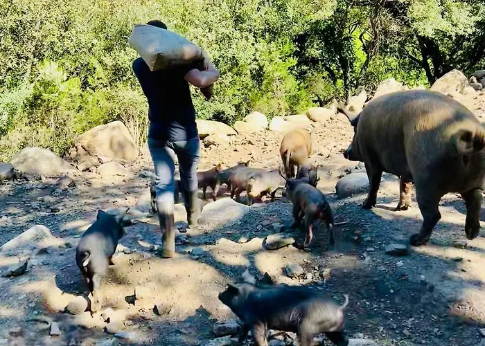 Appartement Rez De Jardin - Casa San Cesaru *